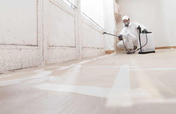 24/7 Emergency Mold Remediation experts in West Point, VA